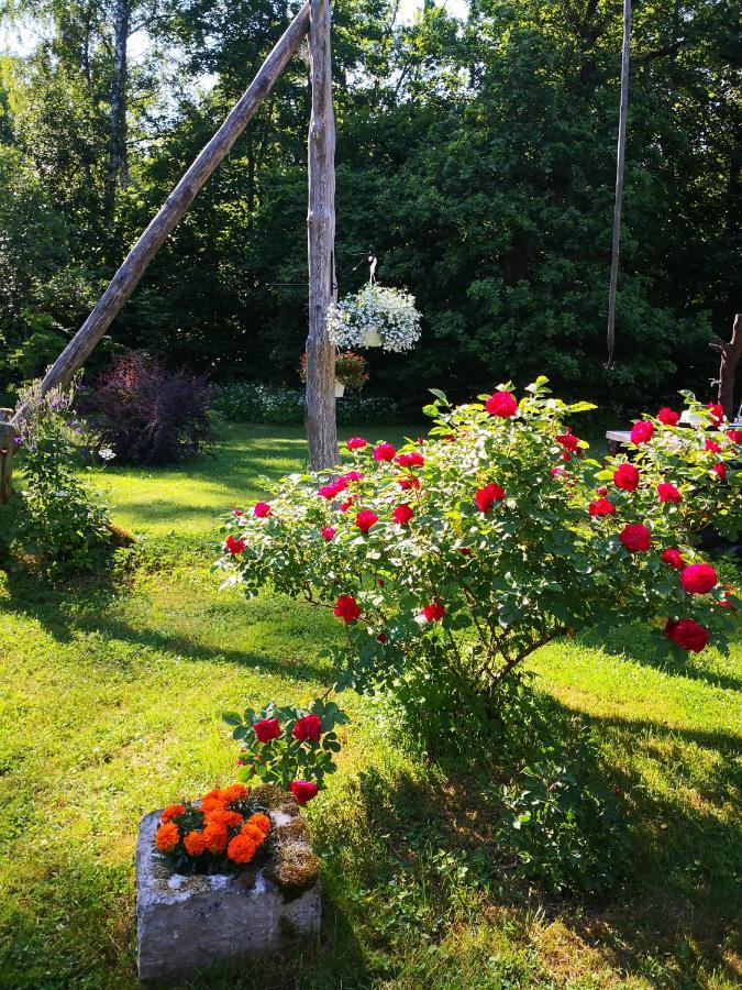 Kotka Farm Hotel Saarekula Kültér fotó