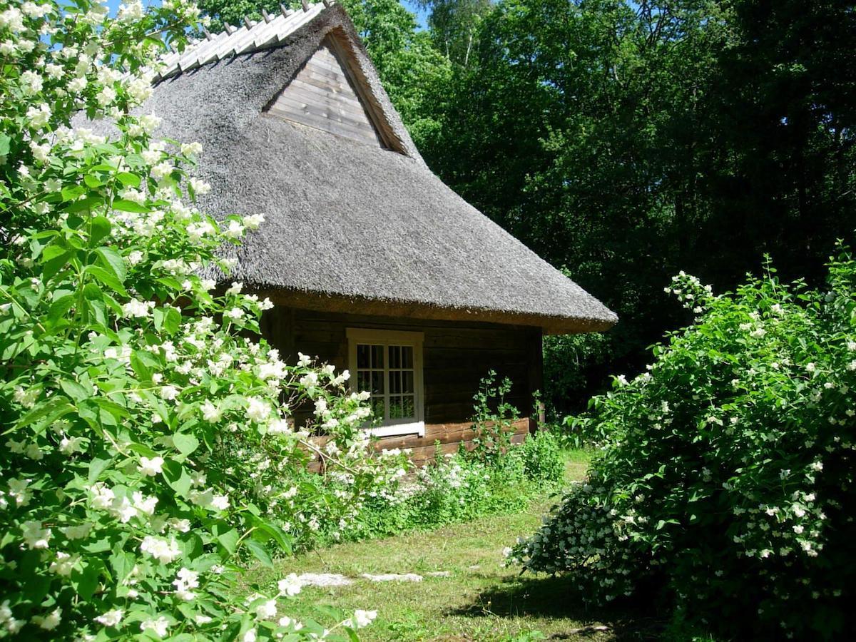 Kotka Farm Hotel Saarekula Kültér fotó